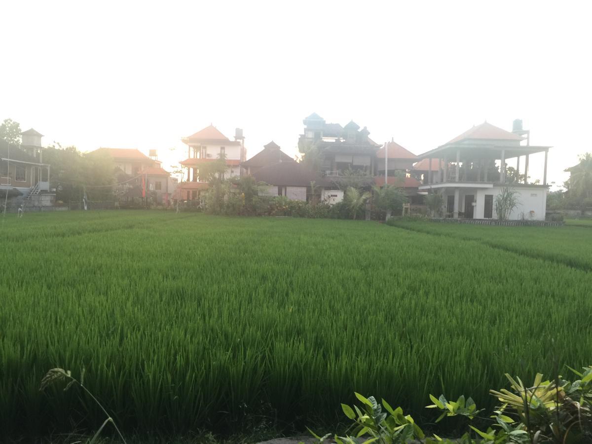 Depong House Apartman Ubud Kültér fotó
