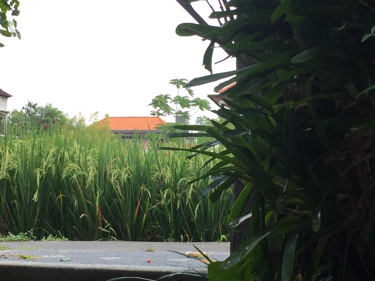 Depong House Apartman Ubud Kültér fotó